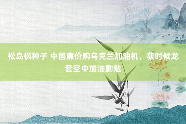 松岛枫种子 中国廉价购乌克兰加油机，获时候龙套空中加油勤勉