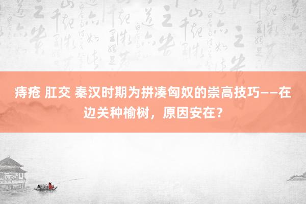 痔疮 肛交 秦汉时期为拼凑匈奴的崇高技巧——在边关种榆树，原因安在？