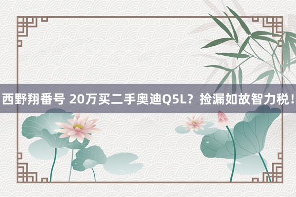 西野翔番号 20万买二手奥迪Q5L？捡漏如故智力税！