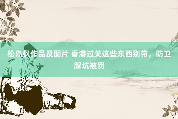 松岛枫作品及图片 香港过关这些东西别带，防卫踩坑被罚