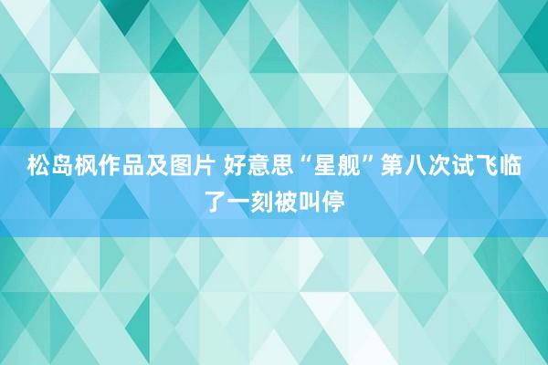 松岛枫作品及图片 好意思“星舰”第八次试飞临了一刻被叫停