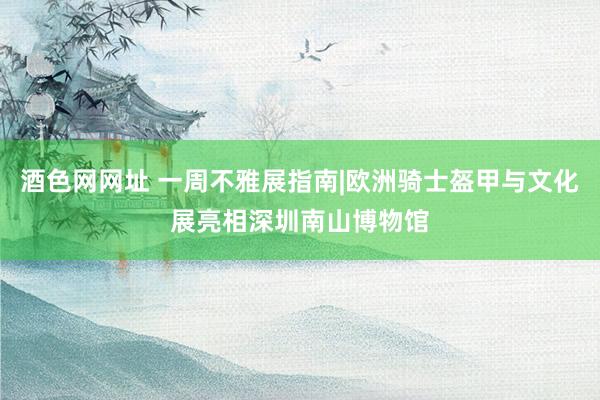 酒色网网址 一周不雅展指南|欧洲骑士盔甲与文化展亮相深圳南山博物馆