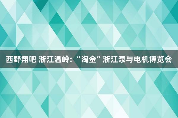 西野翔吧 浙江温岭: “淘金”浙江泵与电机博览会