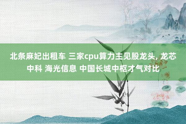北条麻妃出租车 三家cpu算力主见股龙头， 龙芯中科 海光信息 中国长城中枢才气对比