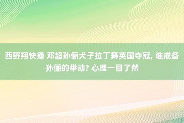 西野翔快播 邓超孙俪犬子拉丁舞英国夺冠， 谁戒备孙俪的举动? 心理一目了然