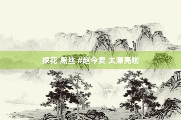 探花 黑丝 #赵今麦 太漂亮啦
