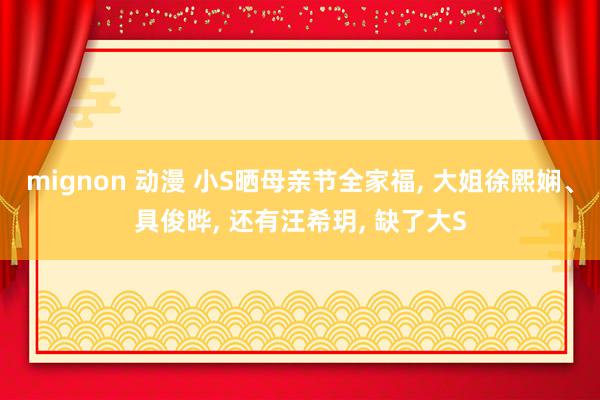 mignon 动漫 小S晒母亲节全家福， 大姐徐熙娴、具俊晔， 还有汪希玥， 缺了大S
