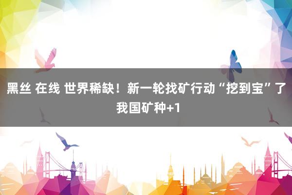 黑丝 在线 世界稀缺！新一轮找矿行动“挖到宝”了 我国矿种+1