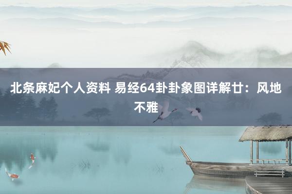 北条麻妃个人资料 易经64卦卦象图详解廿：风地不雅