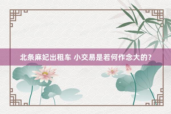 北条麻妃出租车 小交易是若何作念大的？