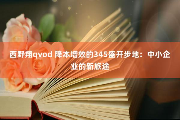 西野翔qvod 降本增效的345盛开步地：中小企业的新旅途