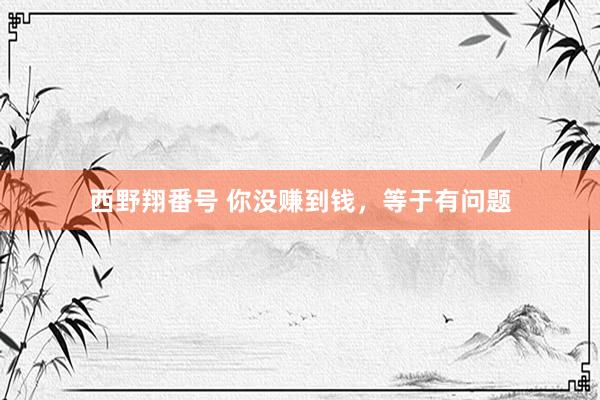 西野翔番号 你没赚到钱，等于有问题