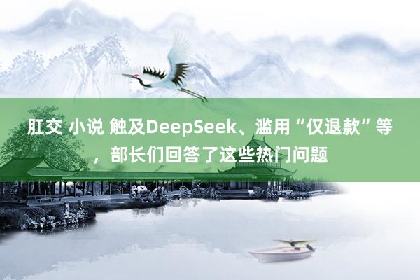 肛交 小说 触及DeepSeek、滥用“仅退款”等，部长们回答了这些热门问题