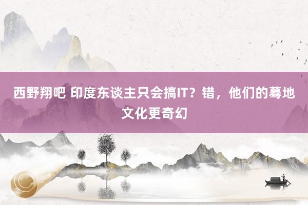 西野翔吧 印度东谈主只会搞IT？错，他们的蓦地文化更奇幻